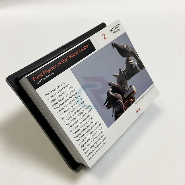 Jak lze vlastní návrhy začlenit do kalendářů s odtrhávacími stránkami?